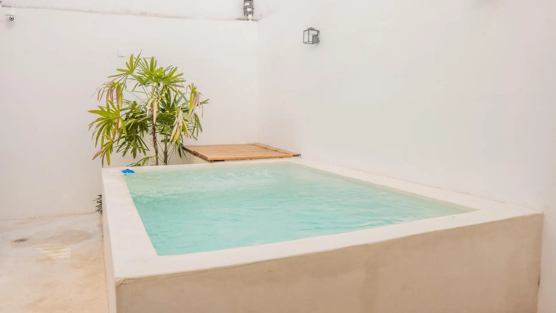 Acogedora Casa Con Hospedaje Para 2 Personas Chetumal 0*,  Meksyk