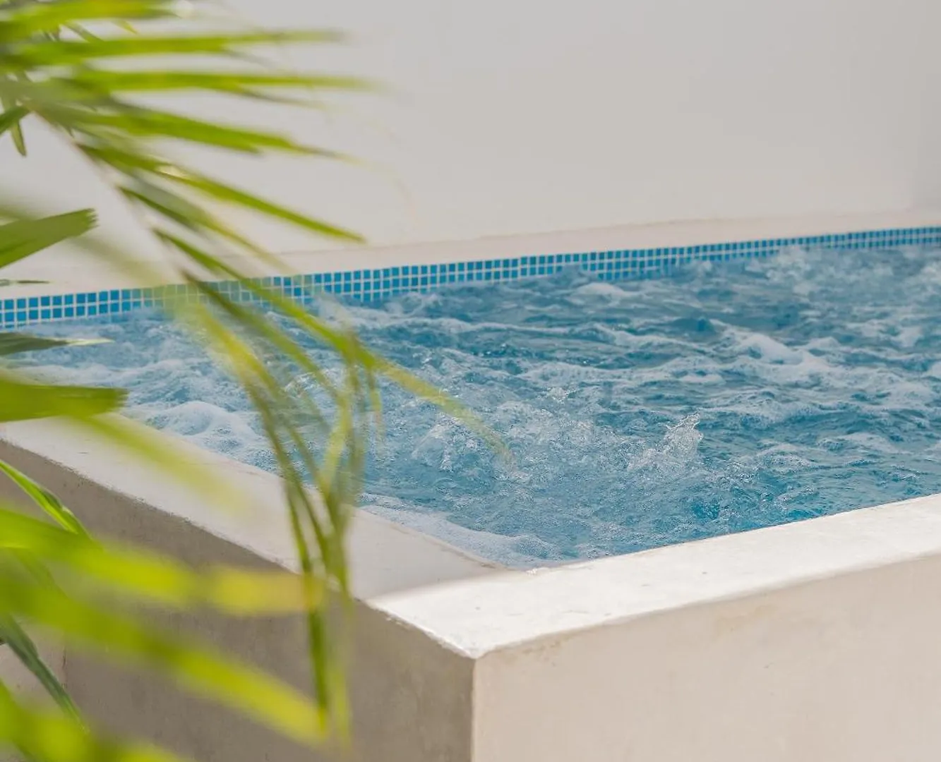 Acogedora Casa Con Hospedaje Para 2 Personas Chetumal 0*,  Mexico
